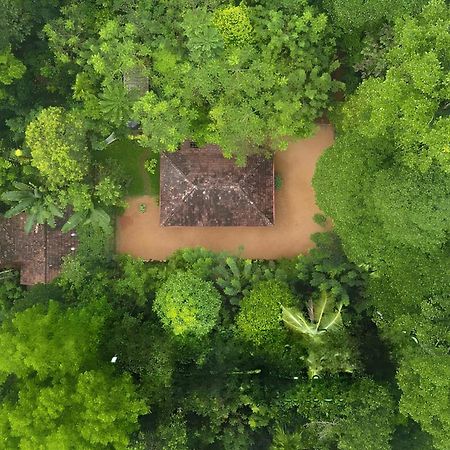 Swasthi Serviced Villa Kanjirapalli Buitenkant foto